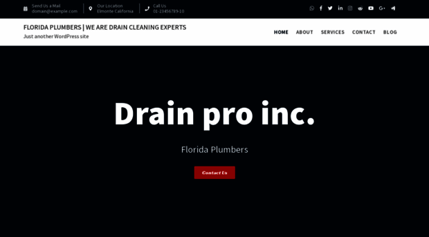 drainproinc.com