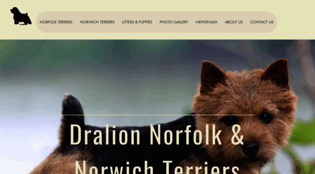 dralionkennels.com
