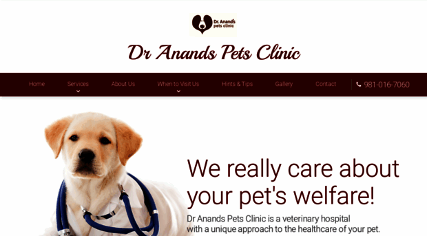 dranandspetsclinic.com