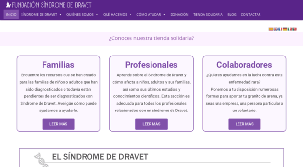 dravetfoundation.eu