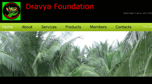 dravyafoundation.in