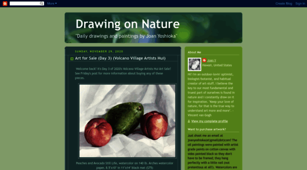 drawingonnature.blogspot.com