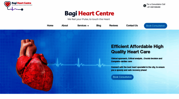 drbagiheartcentre.com