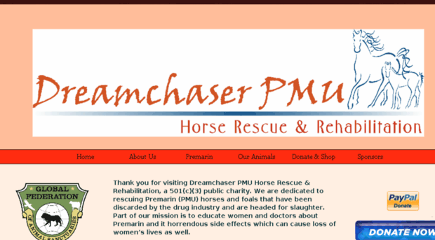 dreamchaserhorserescue.rescuegroups.org