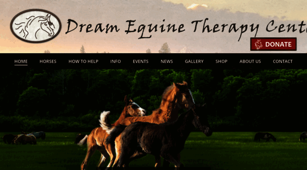 dreamequinetherapycenter.org