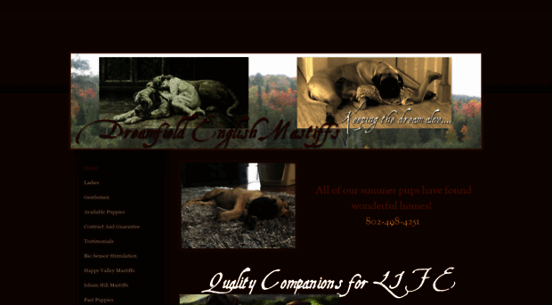 dreamfieldmastiffs.weebly.com