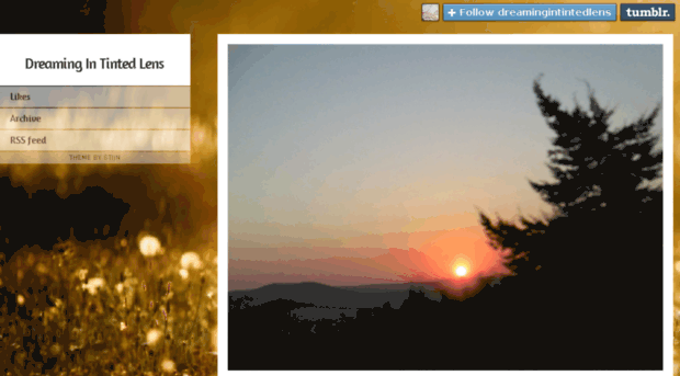 dreamingintintedlens.tumblr.com