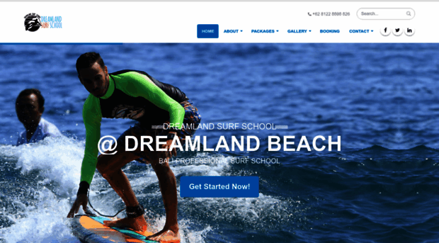 dreamlandsurfschool.com