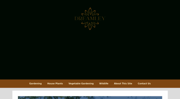 dreamley.com