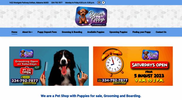 dreampuppys.net