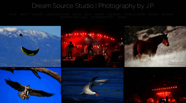 dreamsourcestudio.com