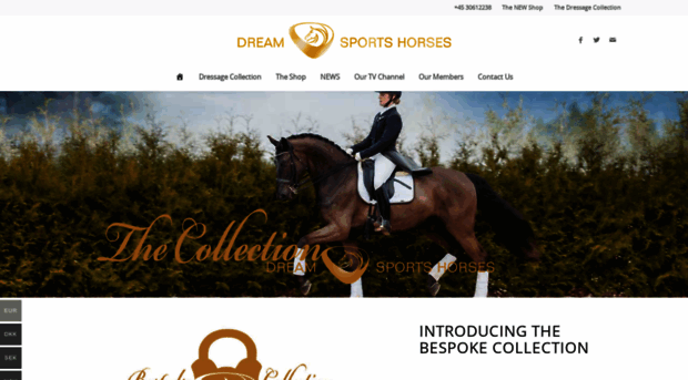 dreamsportshorses.com