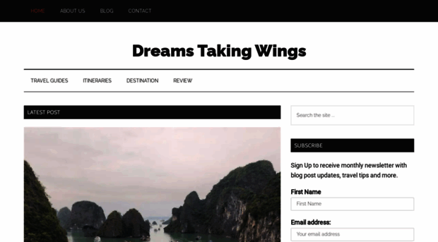 dreamstakingwings.com