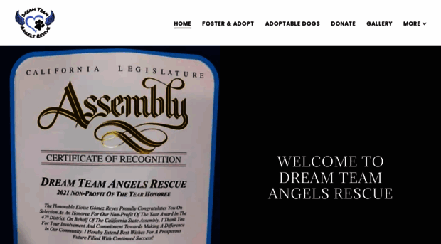 dreamteamangelsrescue.com