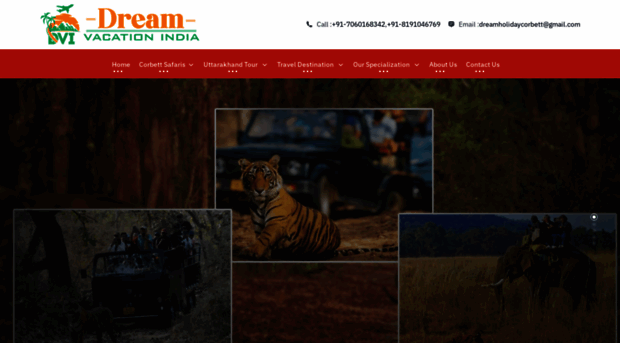 dreamvacationindia.com