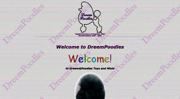 dreempoodles.com