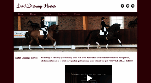 dressagehorsesholland.com