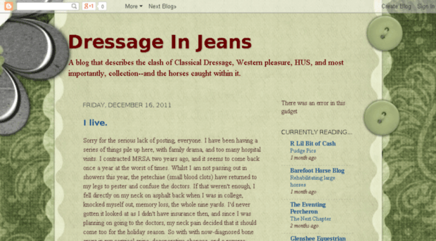 dressageinjeans.blogspot.com