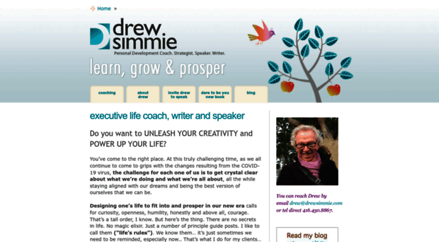 drewsimmie.com