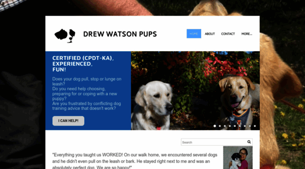 drewwatsondogtraining.com