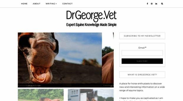 drgeorge.vet