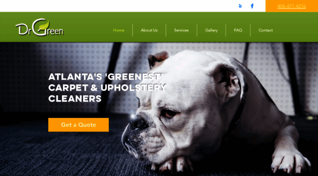 drgreencarpet.com