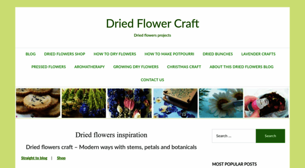 driedflowercraft.co.uk