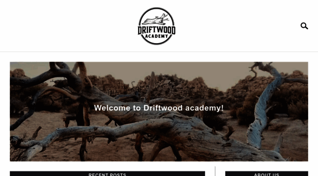 driftwoodacademy.com