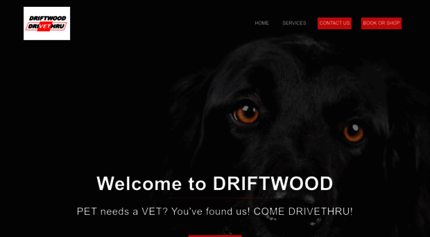 driftwoodvet.com