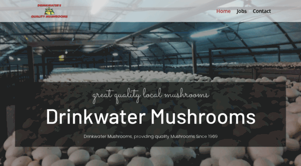 drinkwatermushrooms.co.uk