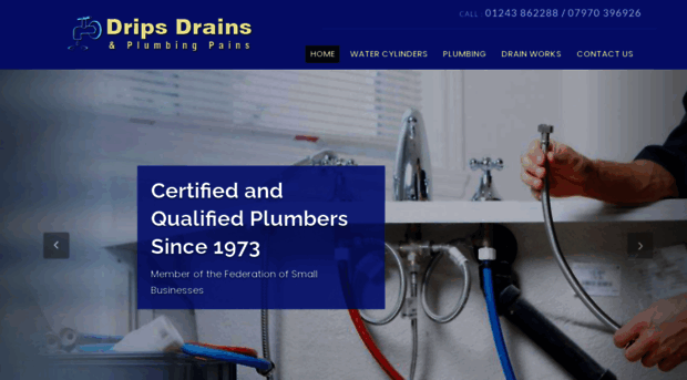 dripsdrainsandplumbingpains.com