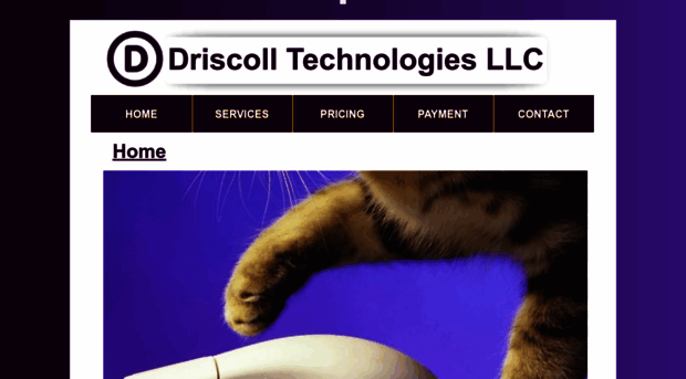 driscolltechnologies.com