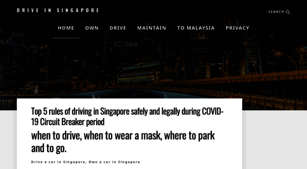 driveinsg.com