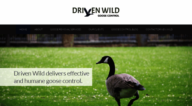 driven-wild.com