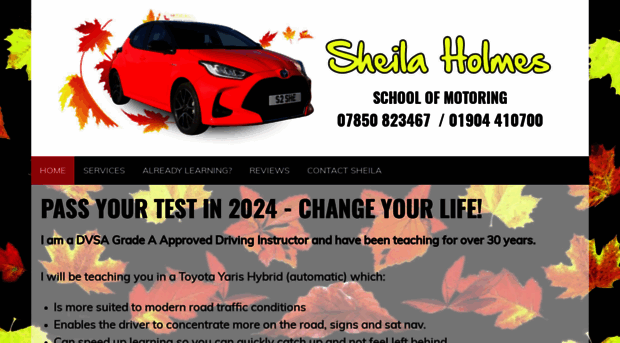 drivinglessonsyork.com