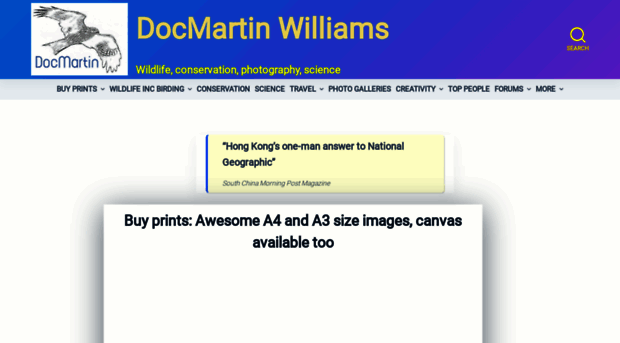 drmartinwilliams.com