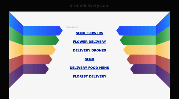 dronedelivery.com