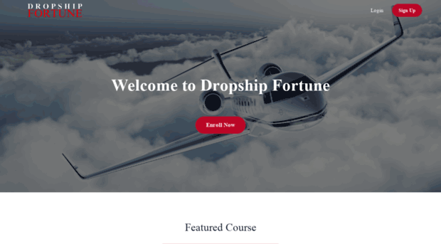 dropshipfortune.com