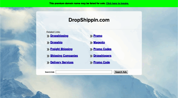 dropshippin.com