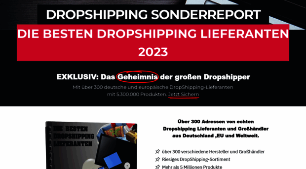 dropshipping-infos.de