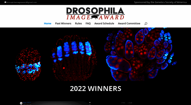 drosophila-images.org