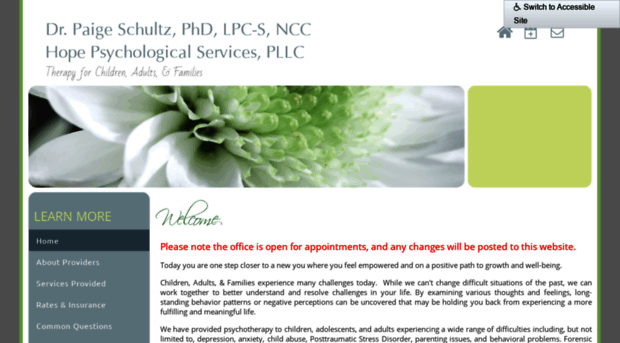 drpaigeschultz.com