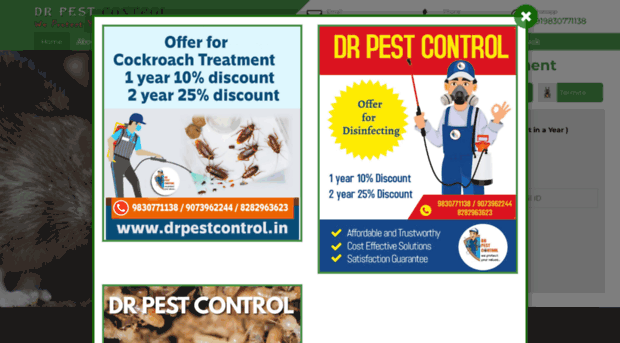 drpestcontrol.in