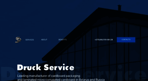 druckservices.com