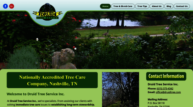 druidtreeservicenashvilletn.com