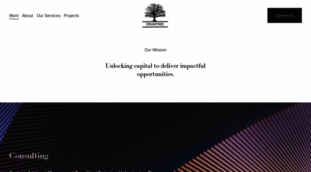 drumtreeinc.com