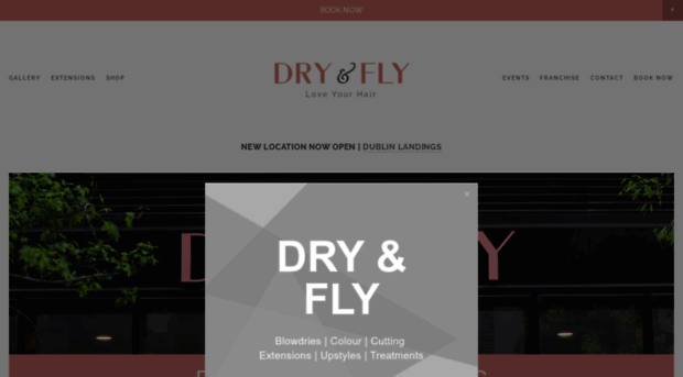 dryandfly.com