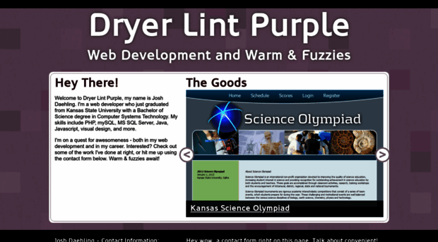 dryerlintpurple.com