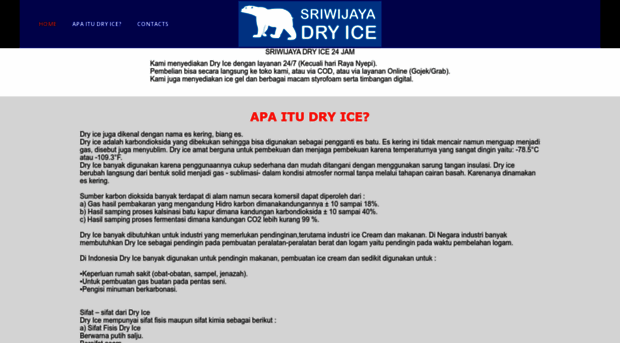 dryicebali.com