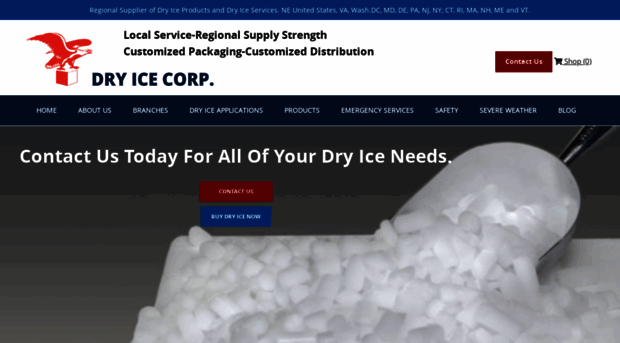 dryicecorp.com